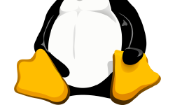 Featured image of post Linux